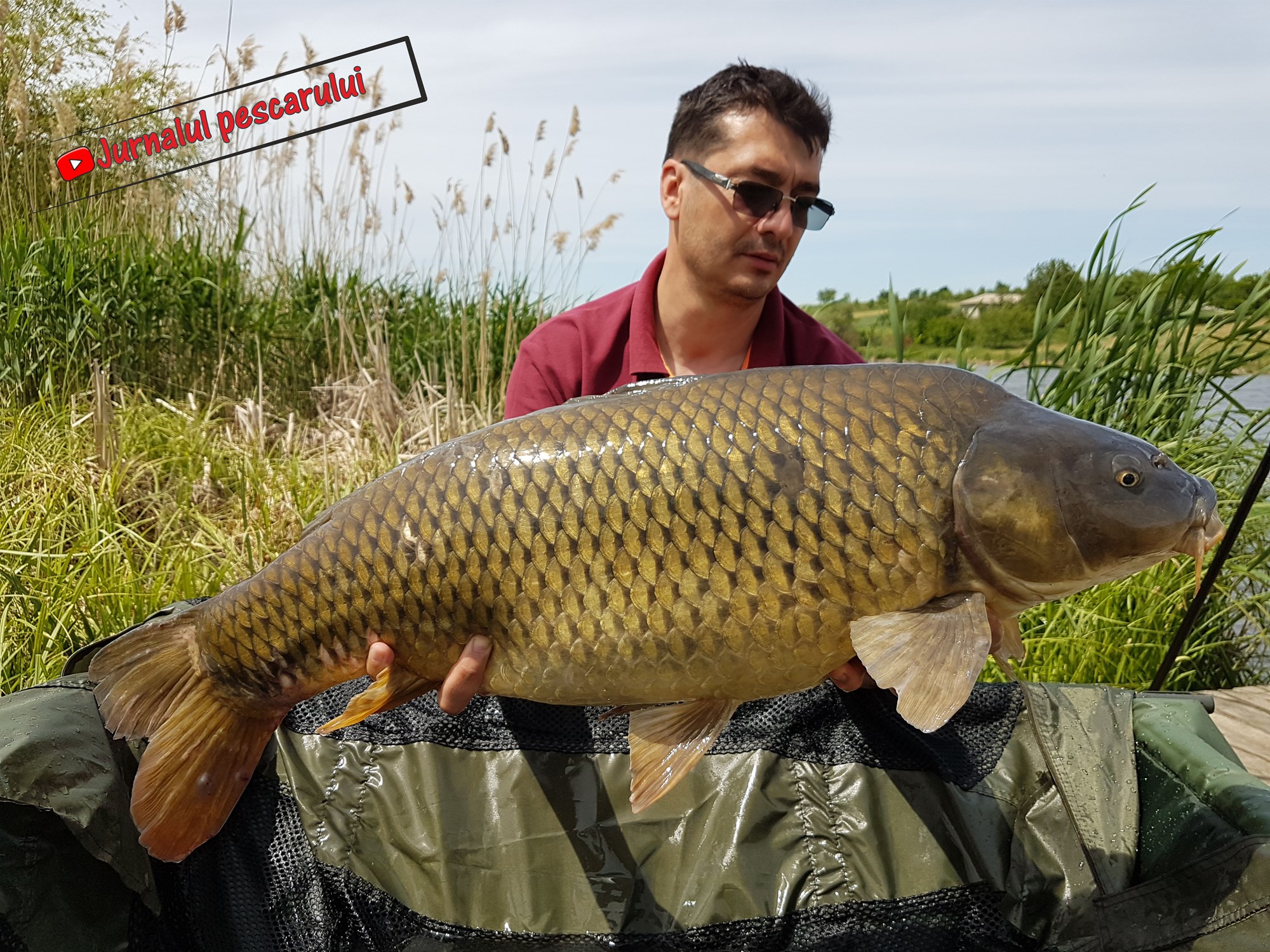 Balata LAZAR Alexandria  15 - 17 mai 2020 - 5.jpg